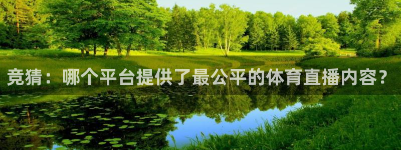 火凤直播体育免费直播火箭：竞猜：哪个平台提供了最公平的体育直播内容？