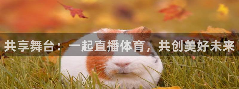 火凤直播体育足球：共享舞台：一起直播体育，共创美好未来