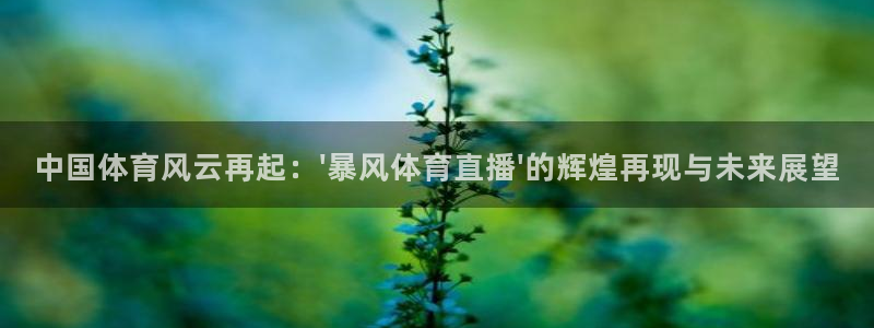 火凤体育赛事直播：中国体育风云再起：\'暴风体育直播\'的辉煌再现与未来展望