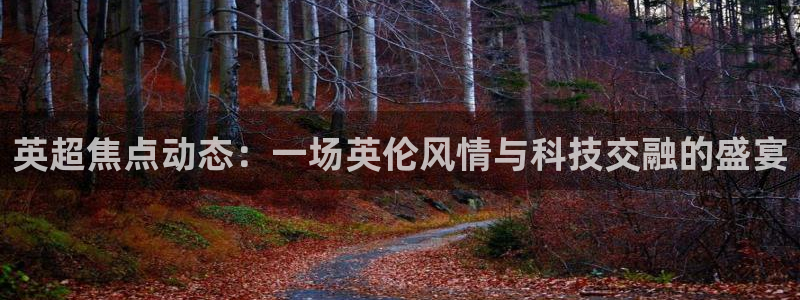 火凤直播体育官网入口在线观看：英超焦点动态：一场英伦风情与科技交融的盛宴