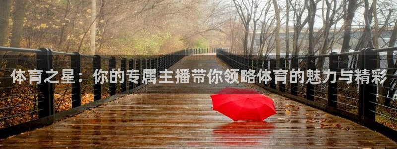 火凤免费观看体育直播：体育之星：你的专属主播带你领略体育的魅力与精彩