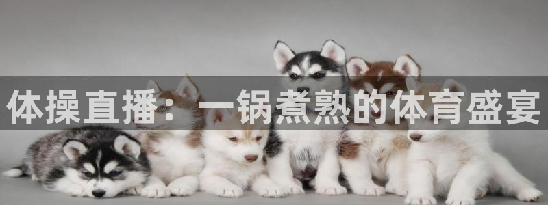 火凤直播足球免费观看：体操直播：一锅煮熟的体育盛宴