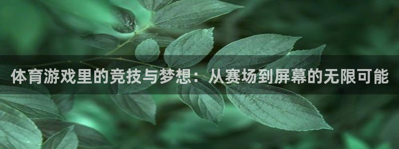 火凤直播：体育游戏里的竞技与梦想：从赛场到屏幕的无限可能