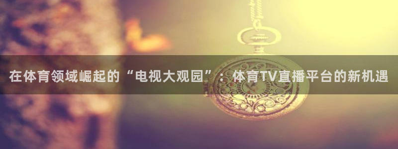 火凤体育赛事直播：在体育领域崛起的“电视大观园”：体育TV直播平台的新机遇