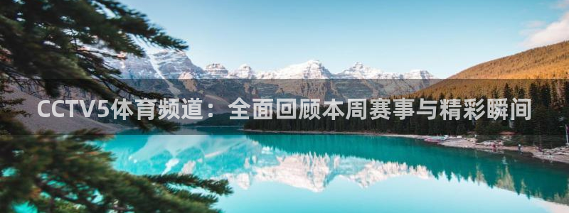 火凤足球直播免费观看：CCTV5体育频道：全面回顾本周赛事与精彩瞬间