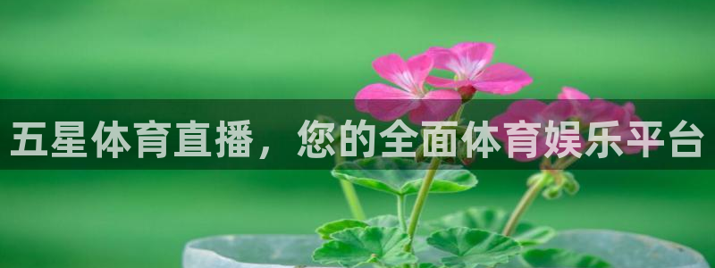 火凤体育赛事直播：五星体育直播，您的全面体育娱乐平台