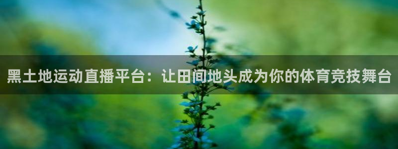 火凤直播体育足球：黑土地运动直播平台：让田间地头成为你的体育竞技舞台