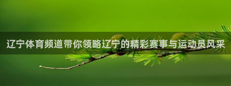 火凤直播体育直播：辽宁体育频道带你领略辽宁的精彩赛事与运动员风采