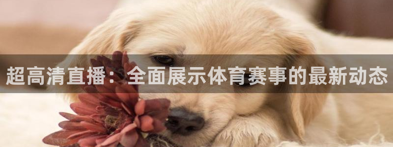 火凤体育免费直播在线观看：超高清直播：全面展示体育赛事的最新动态